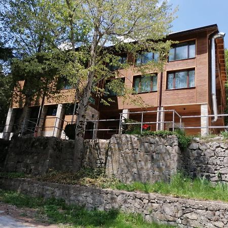 Вила Добро Поле Blagoewgrad Exterior foto