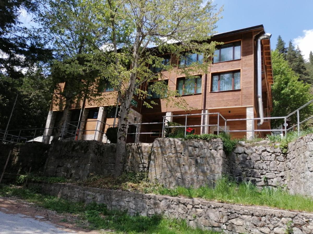 Вила Добро Поле Blagoewgrad Exterior foto